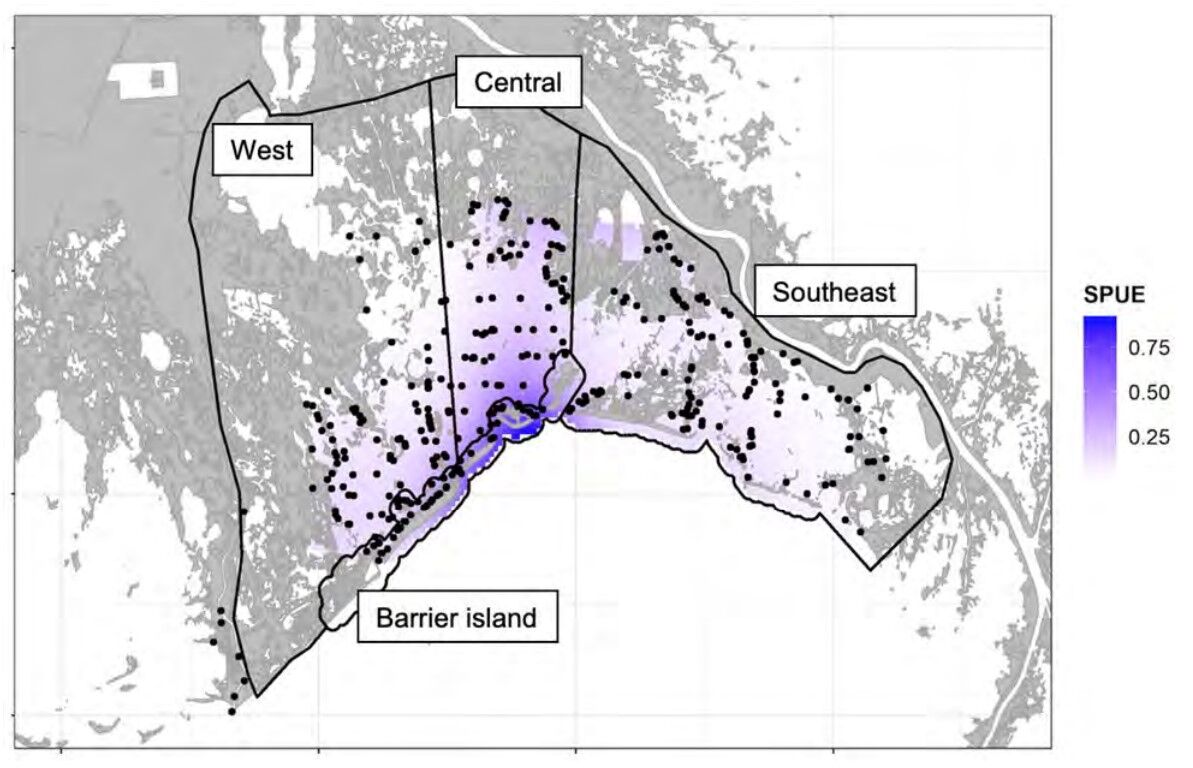Dolphin locations in Barataria Basin